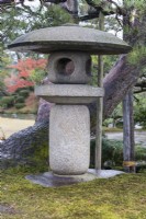 Stone lantern known as Ishidoro on bed of moss.