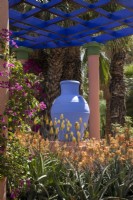 Aloe camperi in flower planted around a blue painted amphora on a plinth, under a pergola, Jardin Majorelle, Yves Saint Laurent garden 