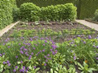 Vegetable bed bordered with chives and calendula