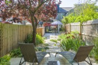 Sun loungers in a small contemporary town garden in summer with stepping stones, stone chippings, a wide variety of plants incuding Iris 'Natchez Trace' and a mature Prunus cerasifera 'Nigra' providing dappled shade. June
