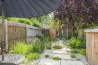 Small contemporary town garden in summer with stepping stones. Wide variety of foliage and flowering plants including birch trees, Iris 'Natchez Trace', Hakonechloa macra 'Aureola', miscanthus, and Salvia nemorosa 'Caradonna'. June