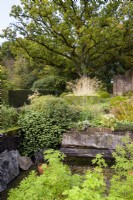 Formal country garden with clipped hedges and an old oak tree in October
