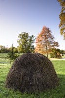 Mounds of hay in a country garden in October
