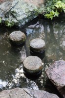 Circular stone stepping stones in pool. 