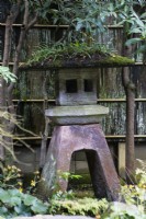 Stone lantern called Ishidoro with plants growing on lantern lid. 