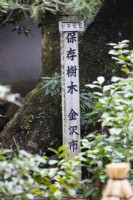 Sign in Japanese on wooden post translates as Preserved Trees, kanzawa City.