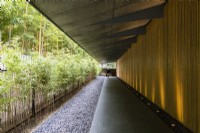 Main path to entrance to Museum. Hedge of Chimonbambusa marmorea on left and Phyllostachys heterocycla 'Nabeshimana' behind that. Wall on right clad with Bamboo. 