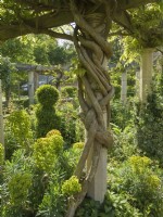 Wisteria branches twined around stone pillar