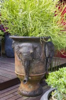 Large terracotta garden pot decorated with elephants heads and planted with Euphorbia, Firesticks.