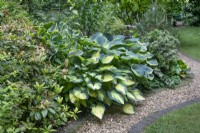 Mixed shrubs in suburban sunken garden open for Charity, Whittington, June