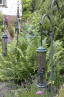 Bird feeding area at North Cottage garden, Whittington - open for Charity, June