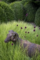 Sesleria autumnalis grass surrounds an ornamental sheep sculpture in a summer garden, a row of topiary Box hedge behind