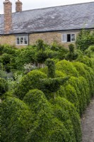 Box hedging topiary alongside a garden path