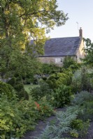 Fruit bushes and artichokes in vegetable patch, with box, topiary behind, in large summer farmhouse garden