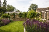 Lawn edged with paving between summer borders filled with salvias. Pleached hedge and Cotswold stone wall behind and wooden pergola to one side.