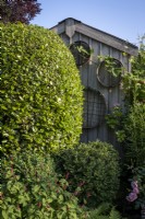 Neatly clipped topiary hedges, shaped into spheres. The back of a wooden shed used to store vintage riddle sieves.