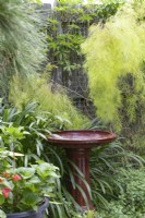 Glazed ceramic bird bath in a garden surrounded by plants.