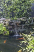 Caption Koi carp pond with a waterfall and Buddha statue near Maiden Hair Fern.