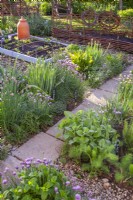 Mostly herbs including Allium fistulosum and schoenoprasum along the path through the kitchen garden and raised beds with young vegetable seedlings.