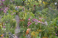 Edible garden combined with annual and perennial flowers including Echinacea purpurea, Verbena bonariensis, Dahlia, Calendula officinalis, Tagetes tenuifolia and others with a path to the garden gate.