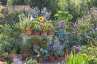 Display of containers with herbs, flowers and vegetables including thyme, basil, oregano, pot and French marigold, sunflowers, courgette, nasturtium and others.