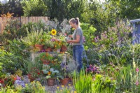 Woman watering group of containers with growing herbs and flowers such as thyme, pot marigold, sage, bergamot, basil and others.