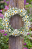 White themed flower wreath made of wild carrots and chamomile.