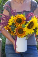 Woman holding bouquet with Sunflowers and Amaranthus caudatus in a milk churn.