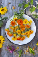 Harvested pot marigold - Calendula officinalis on enamel plate and some eother edible flowers.