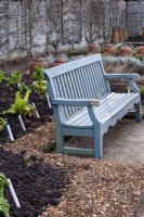 Wooden bench In the kitchen garden at West Dean Gardens is surround by varieties of Chard and terra cotta forcing pots.