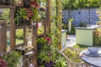 A wooden feature wall with living green wall plantings of Erigeron karvinskianus, Polypodium vulgaris, Cranberry 'Peach Flambe', Trachelospermum jasminoides and decorated with lanterns shelters the outdoor dining area.