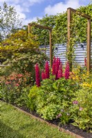 Colourful perennials bed in June planted with Lupinus 'Red Rum', Geum 'Totally Tangerine' and Geum 'Lady Stratheden'. Designer: Colm Carty, Bord Bia Bloom 2023