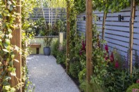 A gravel granite path between flower beds planted with Lupinus 'Red Rum' and Trachelospermum jasminoides - Star jasmine on a wooden pergola. Designer: Colm Carty Bord Bia Bloom 2023