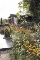 Late summer garden with garden office
Rudbeckia 'Goldsturm'
Cosmos bipinnatus 'Dazzler'
Echinops
