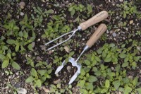 Garden prongs and Weeding fork
