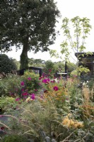 Late summer garden border with garden office and Rudbeckia 'Goldsturm' and Cosmos bipinnatus 'Dazzler'
