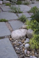Stone patio detail with stones, pebbles, alchemilla mollis