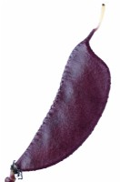 Lablab purpureus  'Ruby Moon'  Hyacinth bean  Syn. Dolichos 'Ruby Moon'  September
