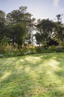 Dappled sunlight on a lawn in a country garden in July