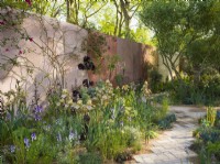 A path made of bricks and gravel surrounded by Benton Iris 'Benton Olive' leading through the garden. The Nurture Landscapes Garden, Designer: Sarah Price, Gold medal winner Chelsea Flower Show 2023