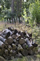 Natural wood pile in woodland garden