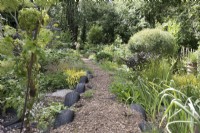 Pathway through naturalistic woodland garden with recycled tyres along pathway