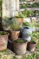 Terracotta pots mulched with moss at Iford Manor in January