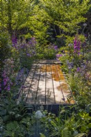 A wooden boardwalk goes through dense plantings of flowering perennials with Digitalis purpurea and ornamental leaves. June, Designer: Robert Moore, Bord Bia Bloom 2023
