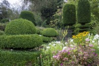 Box and yew topiary makes a striking feature in The Flower Garden at The Manor, Little Compton.