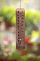 Hanging copper greenhouse thermometer