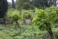 View across The Four Squares Garden at The Manor, Little Compton, past standard Wisteria sinensis 'Alba' to steps.