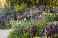 Summer flower bed with Echinacea pallida, Verbena bonariensis, Eryngium. RHS Iconic Horticultural Hero Garden, Designer: Carol Klein, RHS Hampton Court Palace Garden Festival 2023