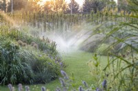Watering a lawn and perennial beds with automatic sprinklers on a summer evening 
