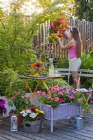 Container plantings on the terrace with Impatiens and Pelargonium, a flower arrangement with a cold drink on the table and a girl in the background watering the vertical containers of balcony flowers.